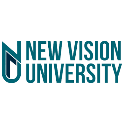 دانشگاه نیوویژن گرجستان - New Vision University